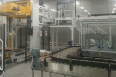 can-packaging-line-cartoner-palletizer-wrapping-machine